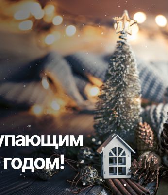 С наступающим новым годом!